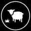 Avatar de Huacho