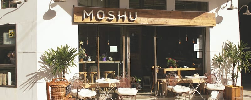 Cover de Moshu