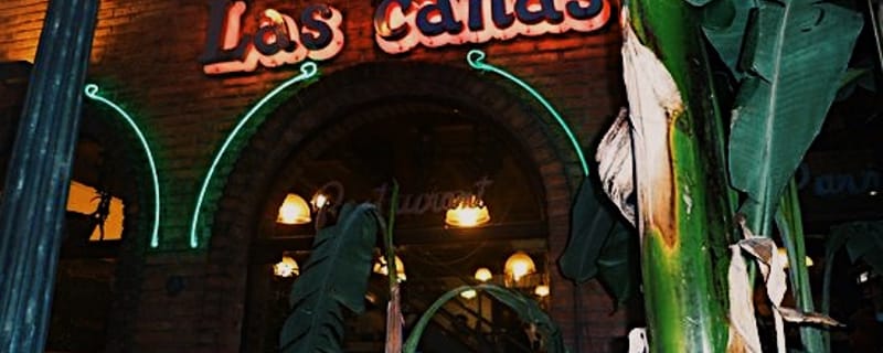 Cover de Las Cañas