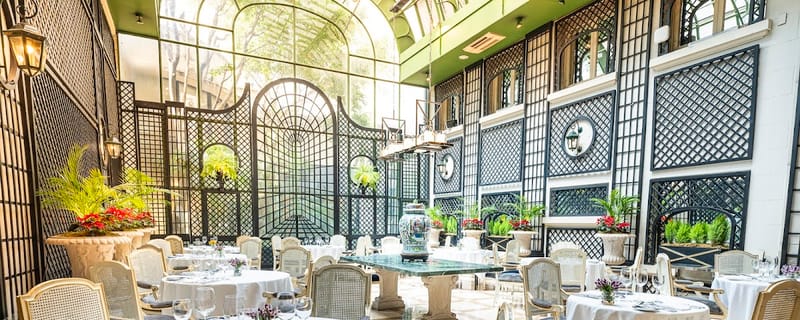 Cover de L' Orangerie Alvear Palace Hotel