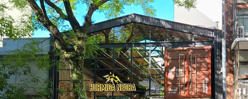 Cover de Hormiga Negra Recoleta