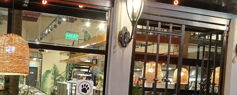 Cover de BOCA DE LOBO Caballito