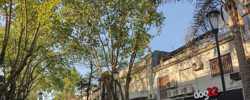 Cover de Stylo Café